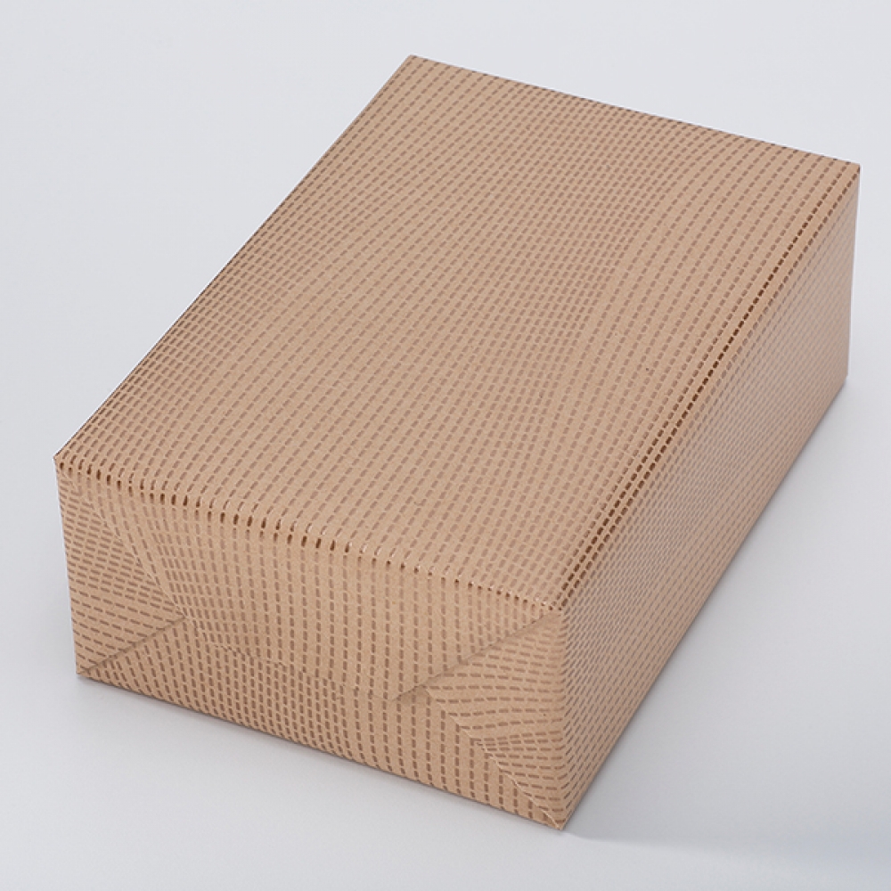 P600070_H002